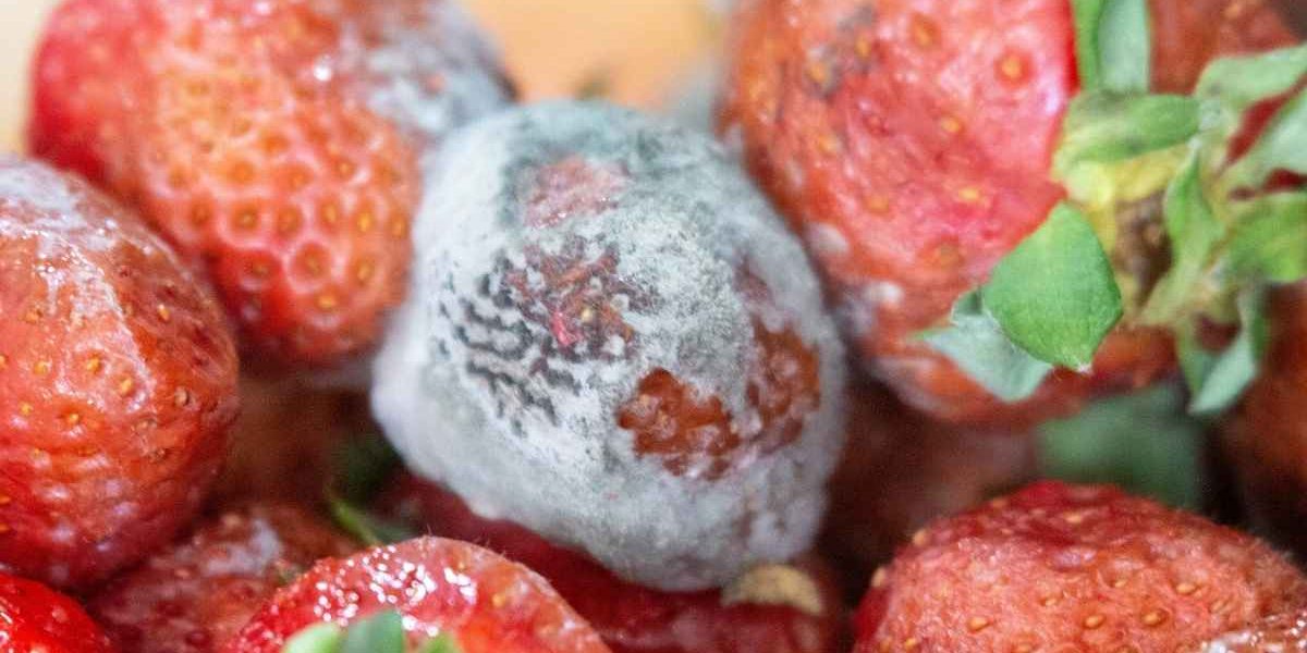 j'ai mangé du moisi que faire